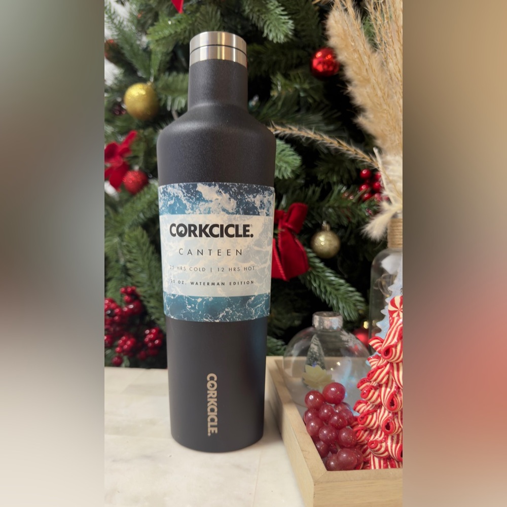 Corkcicle Velvet Black Canteen